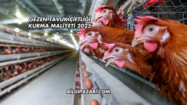 Gezen Tavuk Çiftliği Kurma Maliyeti 2025