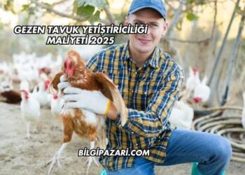 Gezen Tavuk Yetiştiriciliği Maliyeti 2025