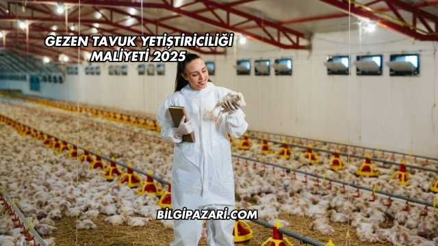 Gezen Tavuk Yetiştiriciliği Maliyeti 2025