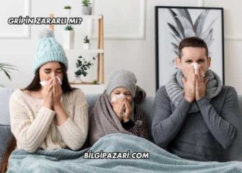 Gripin Zararlı mı?