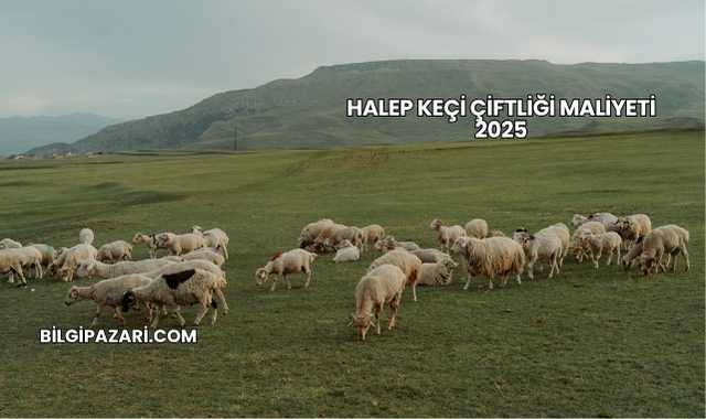 Halep Keçi Çiftliği Maliyeti 2025