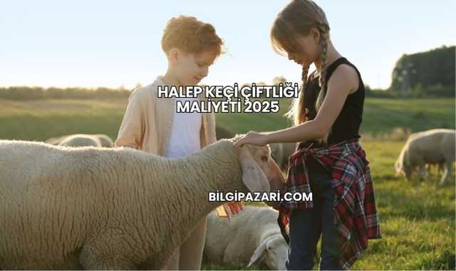 Halep Keçi Çiftliği Maliyeti 2025