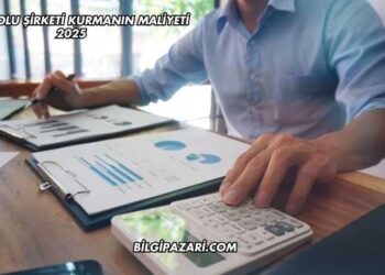 Havayolu Şirketi Kurmanın Maliyeti 2025