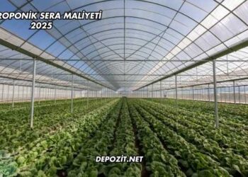 Hidroponik Sera Maliyeti 2025