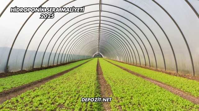 Hidroponik Sera Maliyeti 2025