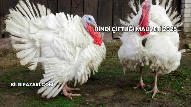 Hindi Çiftliği Maliyeti 2025