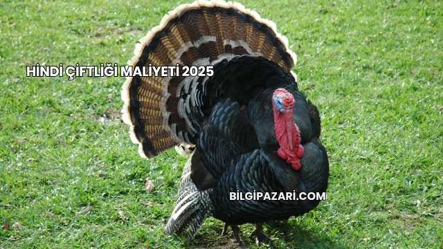 Hindi Çiftliği Maliyeti 2025
