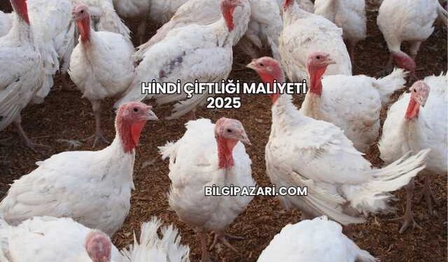 Hindi Çiftliği Maliyeti 2025