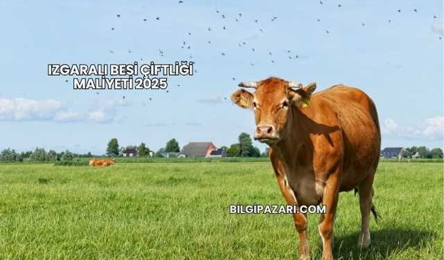 Izgaralı Besi Çiftliği Maliyeti 2025