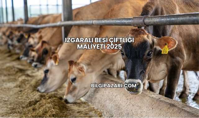 Izgaralı Besi Çiftliği Maliyeti 2025