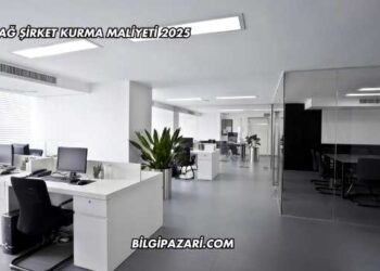 Karadağ Şirket Kurma Maliyeti 2025