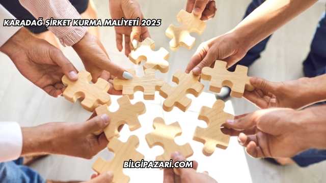 Karadağ Şirket Kurma Maliyeti 2025