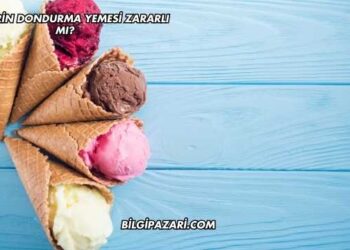 Kedilerin Dondurma Yemesi Zararlı mı?