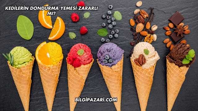 Kedilerin Dondurma Yemesi Zararlı mı?