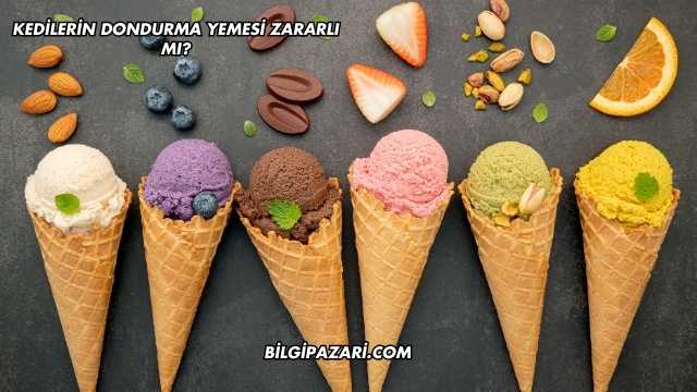 Kedilerin Dondurma Yemesi Zararlı mı?