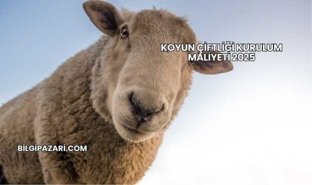 Koyun Çiftliği Kurulum Maliyeti 2025