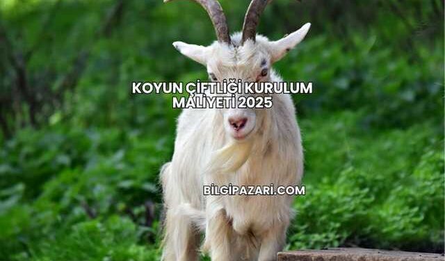 Koyun Çiftliği Kurulum Maliyeti 2025