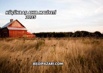 Küçükbaş Ahır Maliyeti 2025