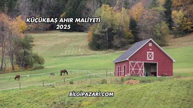 Küçükbaş Ahır Maliyeti 2025