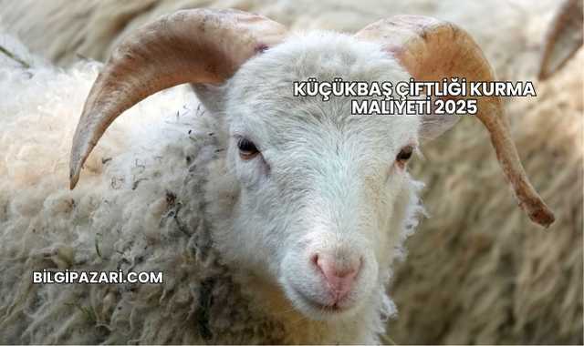 Küçükbaş Çiftliği Kurma Maliyeti 2025