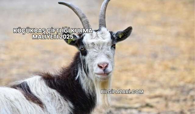 Küçükbaş Çiftliği Kurma Maliyeti 2025