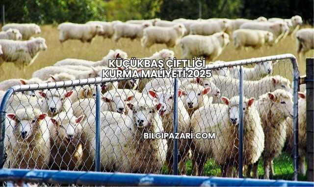 Küçükbaş Çiftliği Kurma Maliyeti 2025