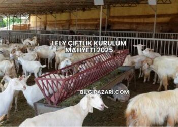 Lely Çiftlik Kurulum Maliyeti 2025