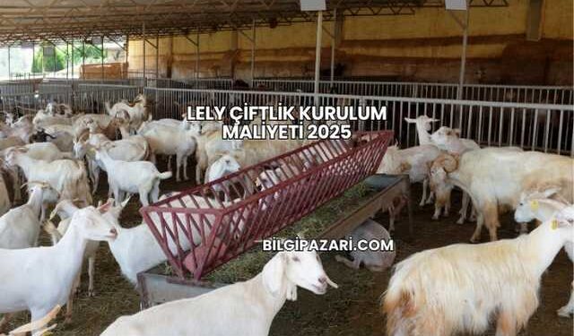 Lely Çiftlik Kurulum Maliyeti 2025