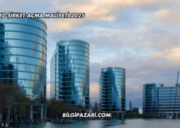 Limited Şirket Açma Maliyeti 2025