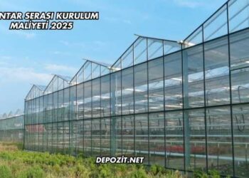 Mantar Serası Kurulum Maliyeti 2025