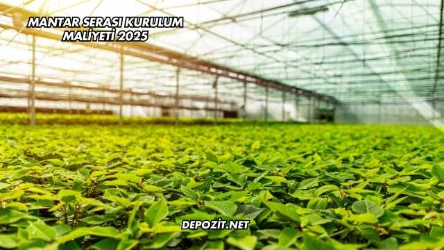 Mantar Serası Kurulum Maliyeti 2025