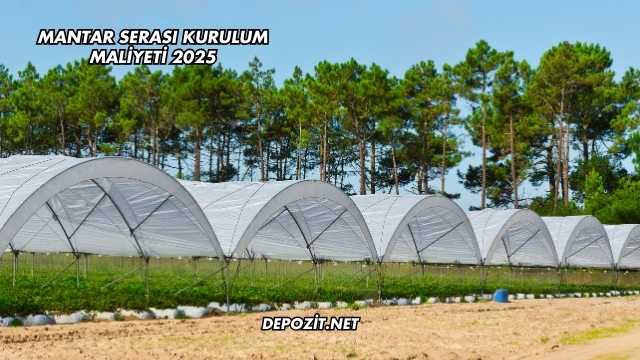 Mantar Serası Kurulum Maliyeti 2025