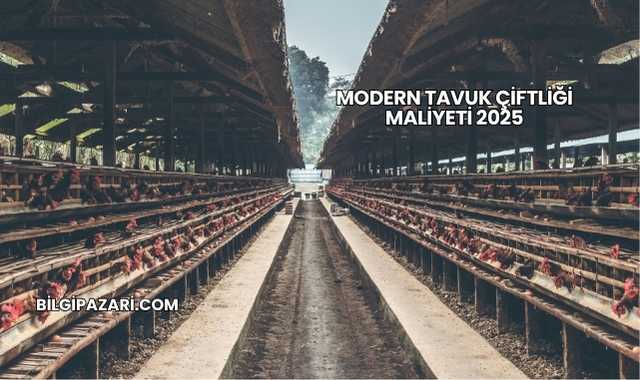 Modern Tavuk Çiftliği Maliyeti 2025