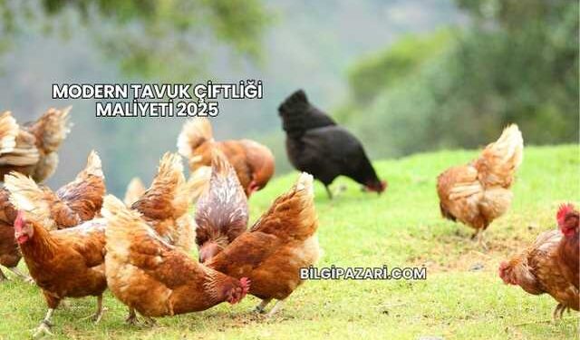 Modern Tavuk Çiftliği Maliyeti 2025