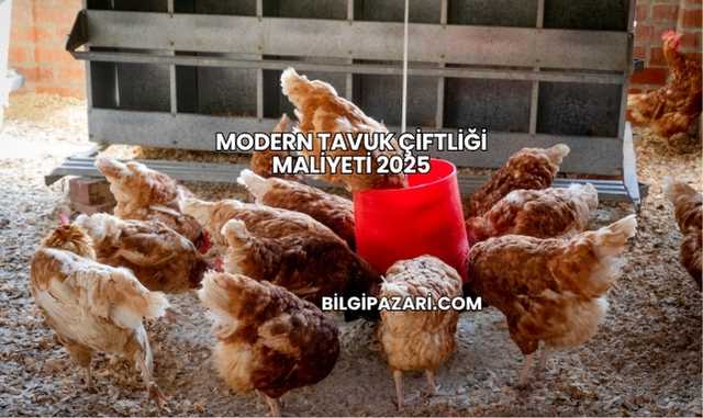 Modern Tavuk Çiftliği Maliyeti 2025