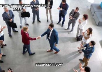 Montenegro Şirket Kurma Maliyeti 2025