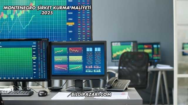 Montenegro Şirket Kurma Maliyeti 2025