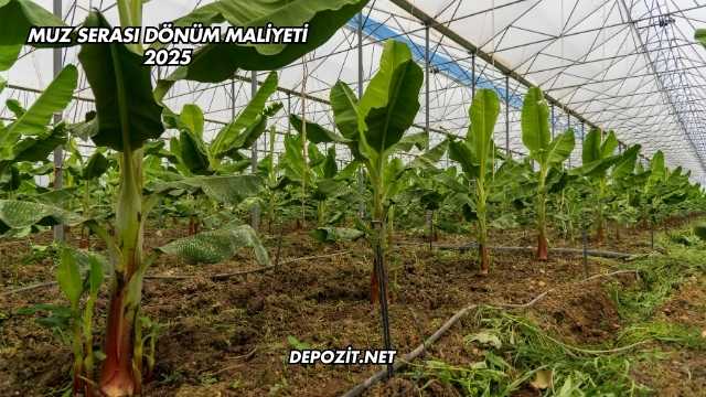 Muz Serası Dönüm Maliyeti 2025