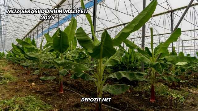 Muz Serası Dönüm Maliyeti 2025
