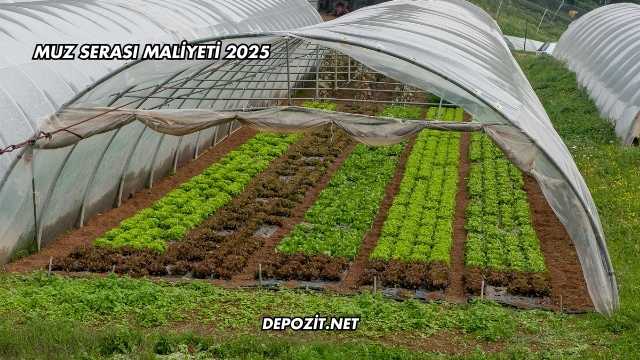 Muz Serası Maliyeti 2025