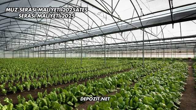 Muz Serası Maliyeti 2025
