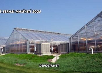 Muz Serası Maliyeti 2025