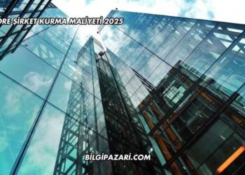 Offshore Şirket Kurma Maliyeti 2025