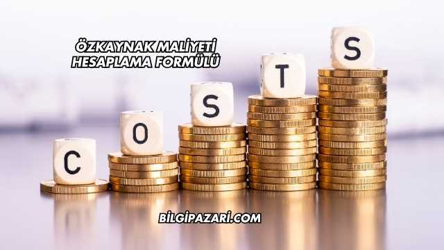 Özkaynak Maliyeti Hesaplama Formülü