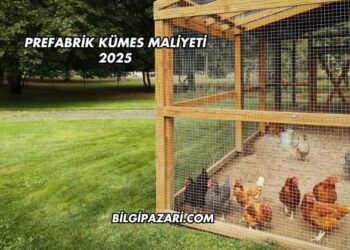 Prefabrik Kümes Maliyeti 2025