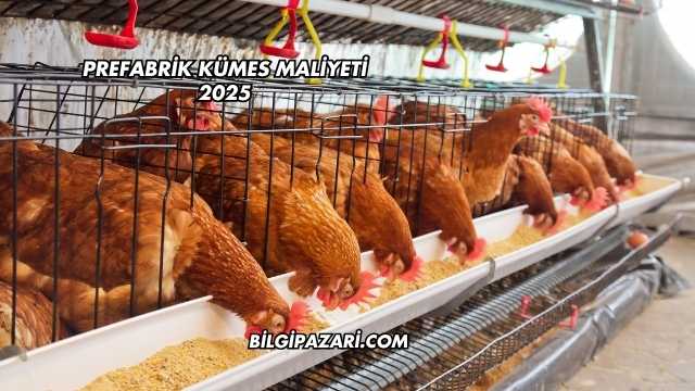 Prefabrik Kümes Maliyeti 2025
