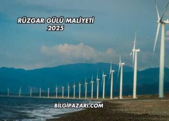 Rüzgar Gülü Maliyeti 2025