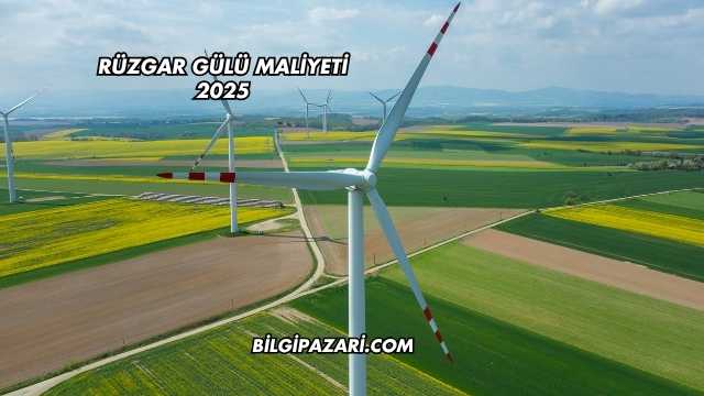 Rüzgar Gülü Maliyeti 2025