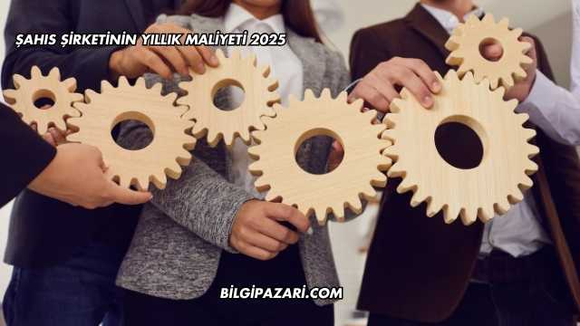Şahıs Şirketinin Yıllık Maliyeti 2025