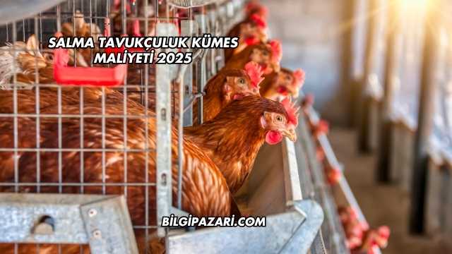 Salma Tavukçuluk Kümes Maliyeti 2025